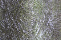 Thorntonloch fibreglass roof work